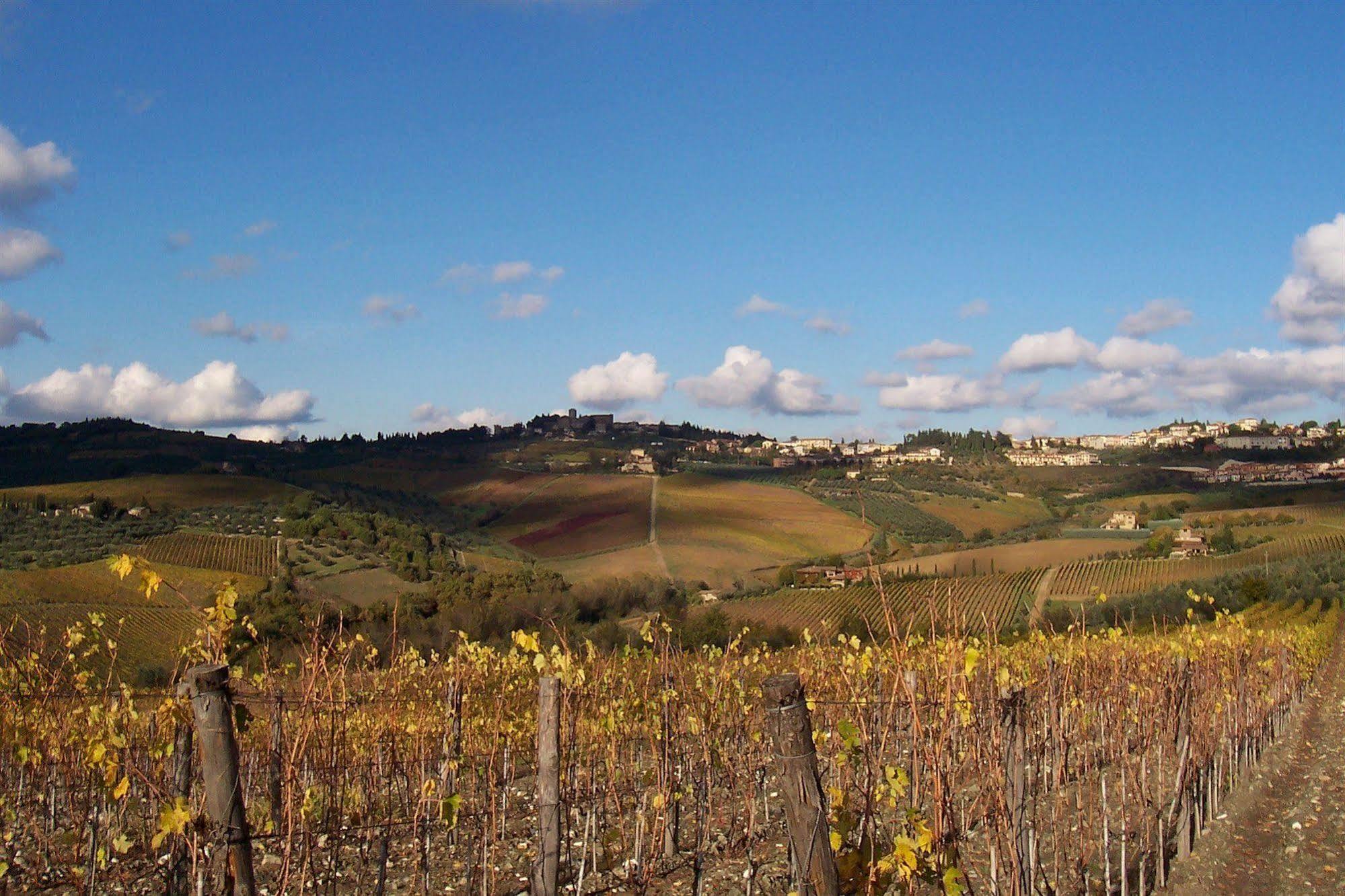 Villa Cristina Castellina in Chianti Zewnętrze zdjęcie